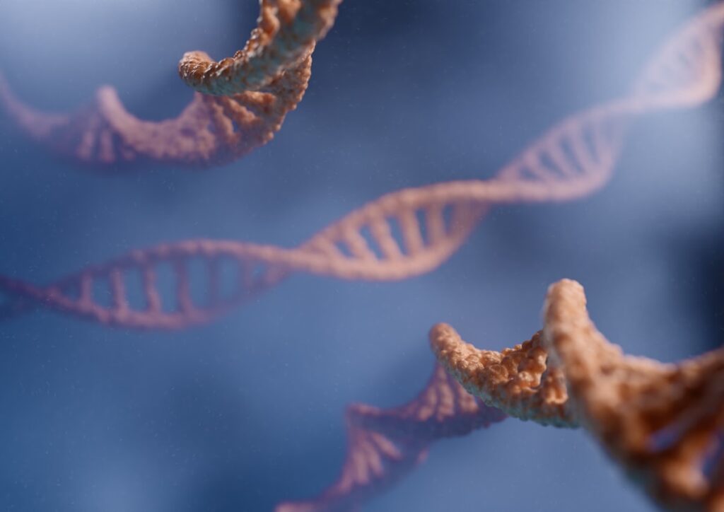 Reading a Spec Sheet: Sequence Notation and Molecular Weight