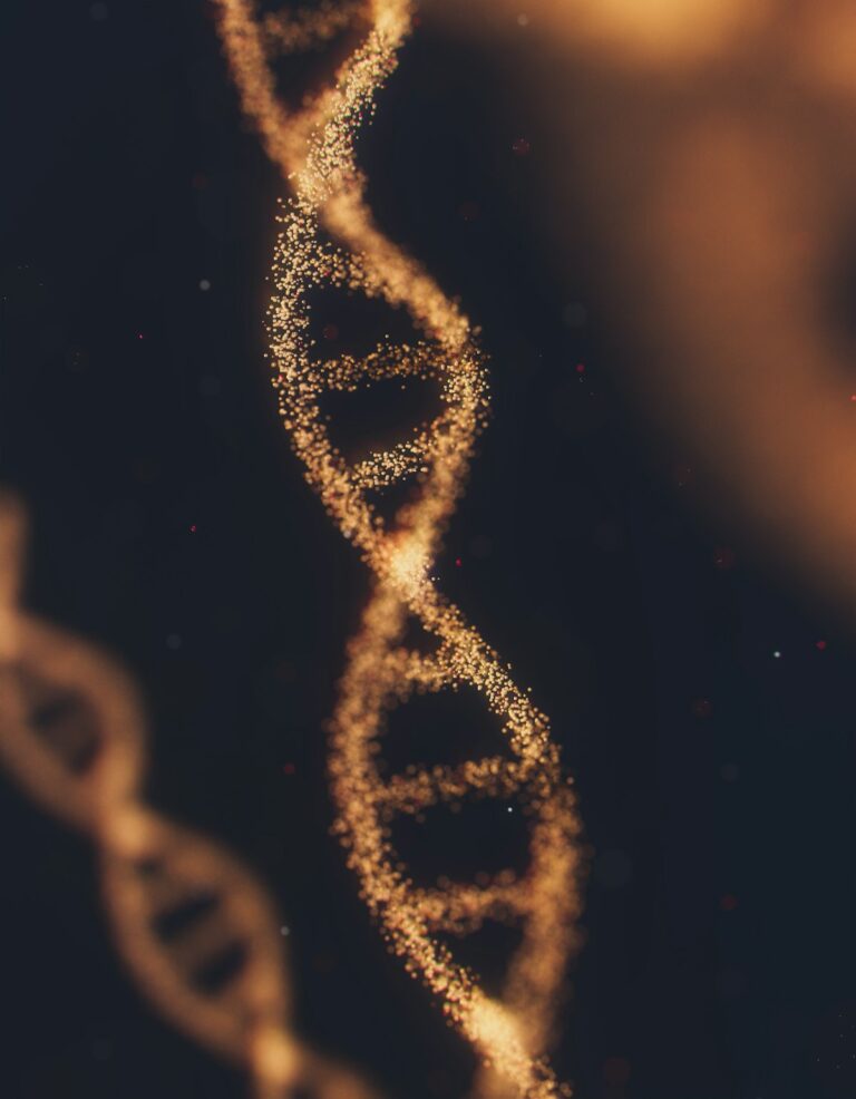 Growth Hormone Secretagogues: GHRH Analogues and Ghrelin Receptor Ligands