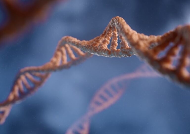 Mitochondrial-Derived Peptides: The MOTS-c Research Field