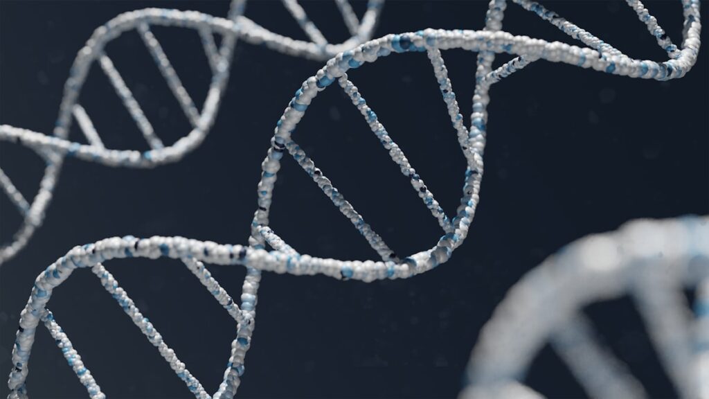 SS-31 (Elamipretide) and Cardiolipin-Targeted Mitochondrial Research