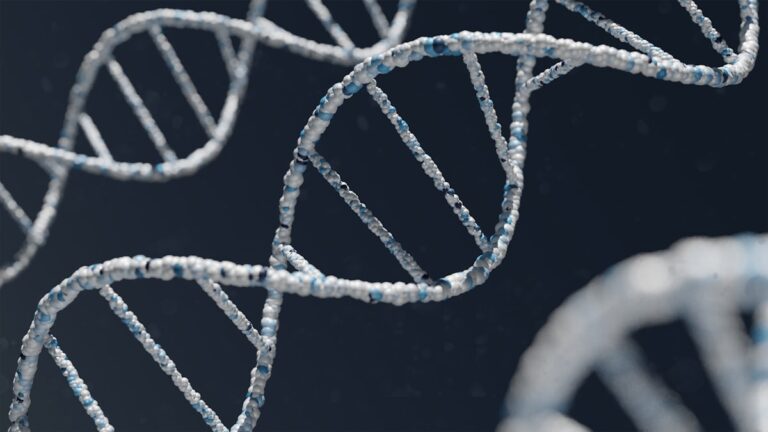 SS-31 (Elamipretide) and Cardiolipin-Targeted Mitochondrial Research
