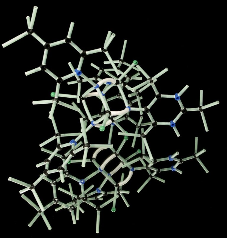 NAD+ and Cellular Energy Metabolism Research