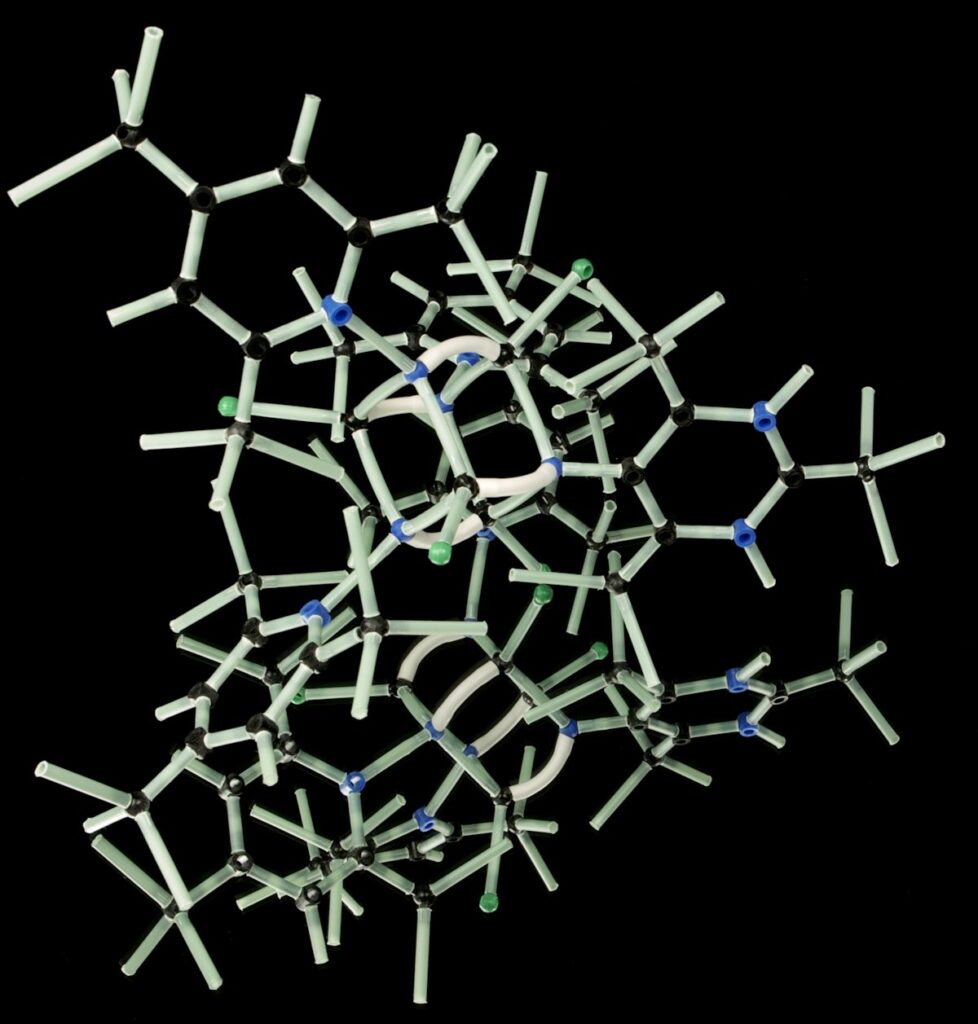 NAD+ and Cellular Energy Metabolism Research