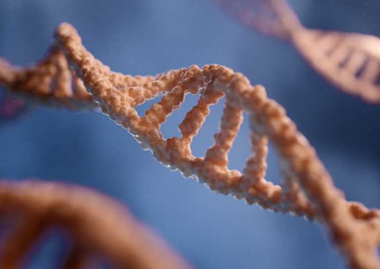 Thymosin Alpha-1 and Immune Signalling in Preclinical Models
